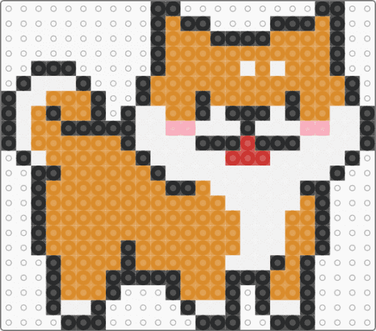Shiba inu - orange