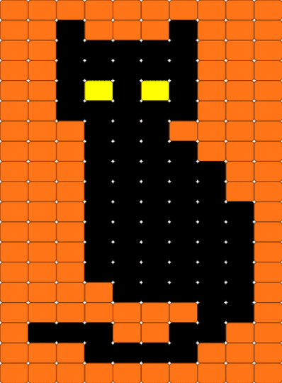 black cat - orange