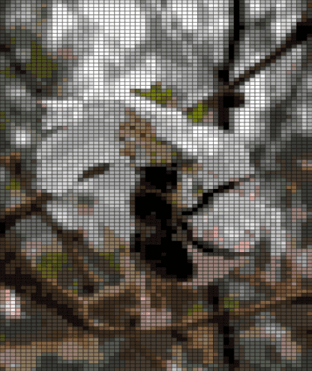 Sakura Pollen Queen Bee Square - bee, bugs, cotdbugs, cute, flowers, nature, pony bead tapestry, square