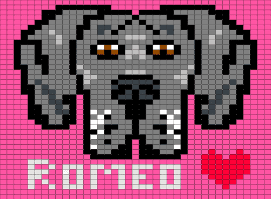 Great Dane - gray, great dane, pink