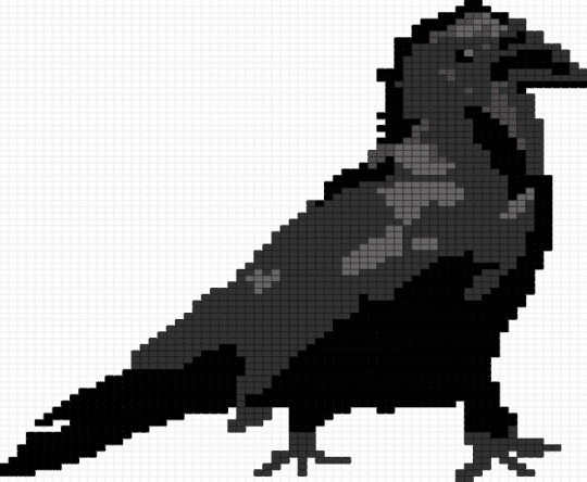 Raven!!!! - bird, black, crow, gray, nature, raven