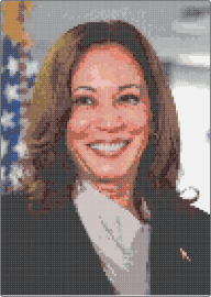 Kamala Harris / Madame President Perler pattern! - kamala harris,politics,president,united states,portrait