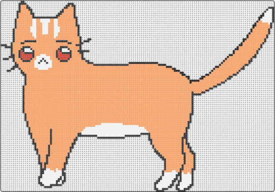 cat - cat,animal,feline,orange