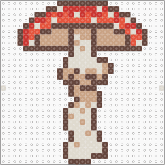 The fly agaric mushroom/the Amanita muscaria - brown,beige