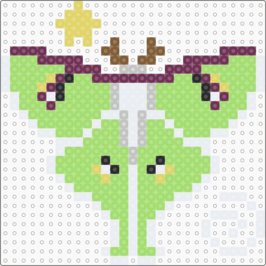 Luna moth - green,nature,bug,butterfly,animal,cute,purple,white