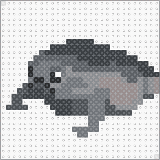 Rain frog - gray