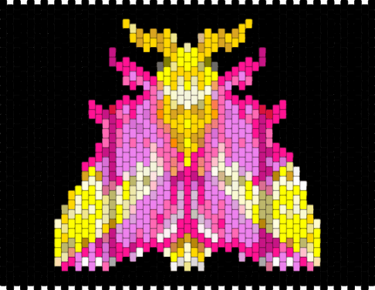 Spencer's present - black,yellow,pink