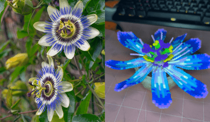 3D Passion Flower