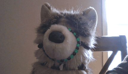 How to make a muzzle!