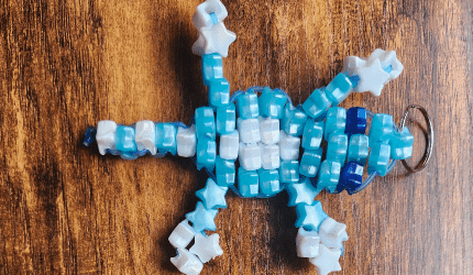 How to make star lizard