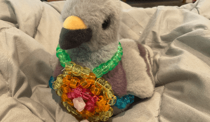 Pigeon ESSA harness
