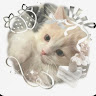 Profile Picture - ameliaaaa