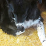Profile Picture - didina