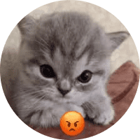 Profile Picture - lil112443