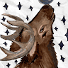 Profile Picture - shadowteller