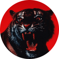 Profile Picture - tiger