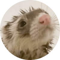 Profile Picture - ashlovesher