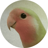 Profile Picture - jennadirlewanger