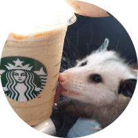 Profile Picture - kasperzfeatherz