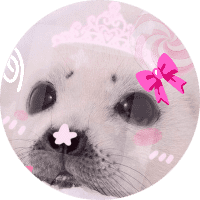 Profile Picture - pawsiestarrr