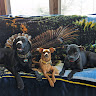 Profile Picture - trio1012