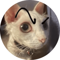 Profile Picture - imadinosaur
