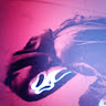 Profile Picture - em2011rose3