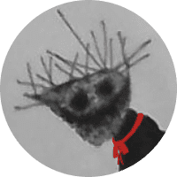 Profile Picture - dnagerous_artist