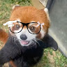 Profile Picture - v1mpeyerr