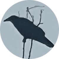 Profile Picture - sippycup