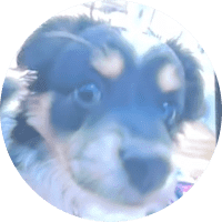 Profile Picture - batgrullllllllllllllllllllll67