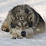 Profile Picture - consta-the-werido