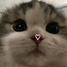 Profile Picture - deathishappy