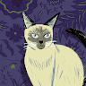 Profile Picture - hyfin