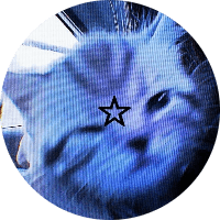 Profile Picture - sadie