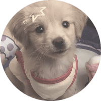 Profile Picture - frumzi