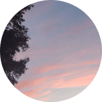 Profile Picture - countrykandibees