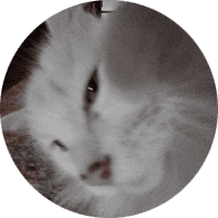 Profile Picture - smelliott