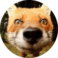 Profile Picture - em0sting_rat