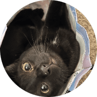 Profile Picture - certified-phasmophobist