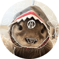 Profile Picture - ollierockz