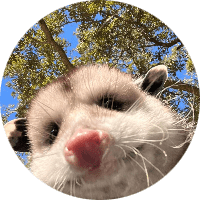 Profile Picture - lizzythewizzt
