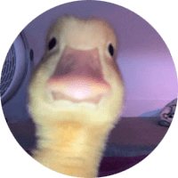Profile Picture - the_menacing_duckling