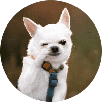 Profile Picture - sproutingseed