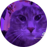 Profile Picture - charleediller