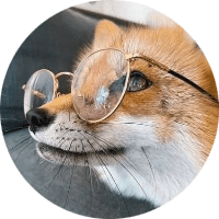 Profile Picture - firerat