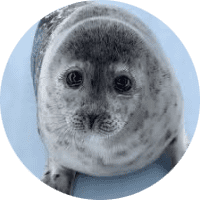 Profile Picture - lukewarm_water