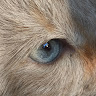 Profile Picture - natashagay