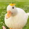 Profile Picture - ilikewhiteducks