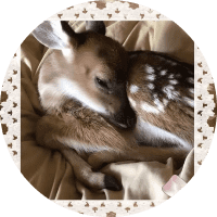 Profile Picture - auggxx